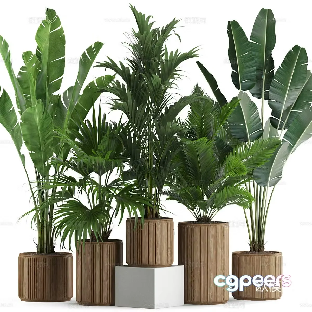 Green plant potted 3D model