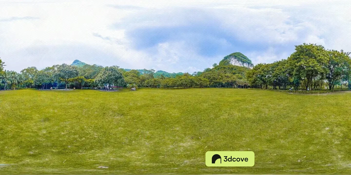 A Grassy Field