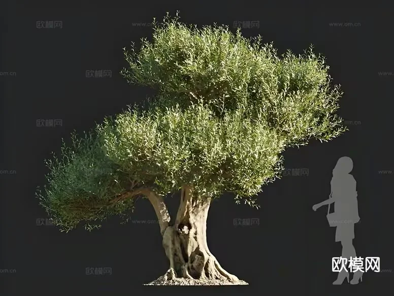 A Tree With A Woman 3D Model – 16459 – CORONA Render