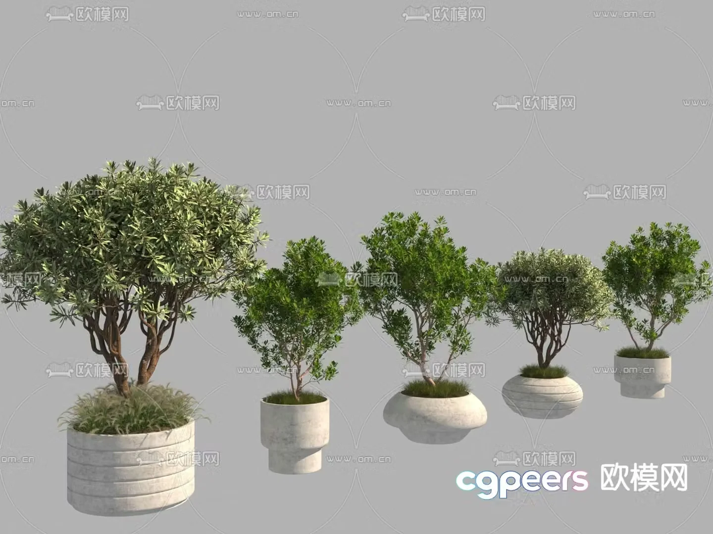 Potted plants Bonsai Tree Pool 3D Model