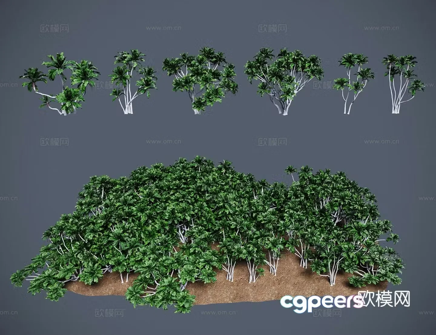 Modern landscape tree Filipino horse banyan chicken banyan big green tree big leaf banyan 3D model