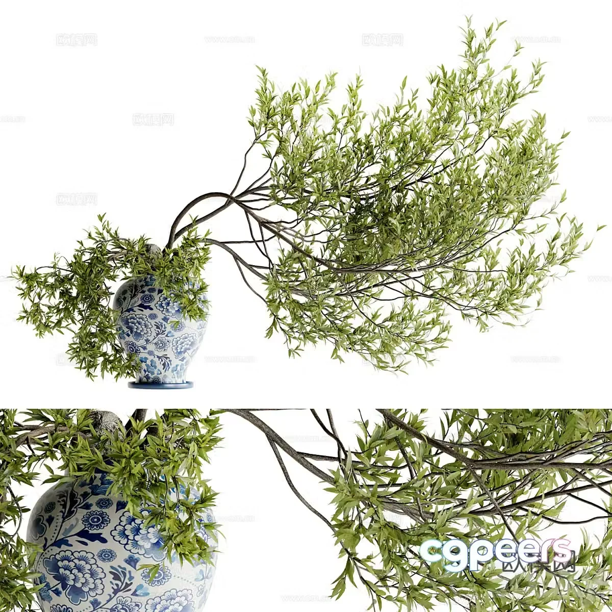Modern plant potted bonsai green plants 3D model
