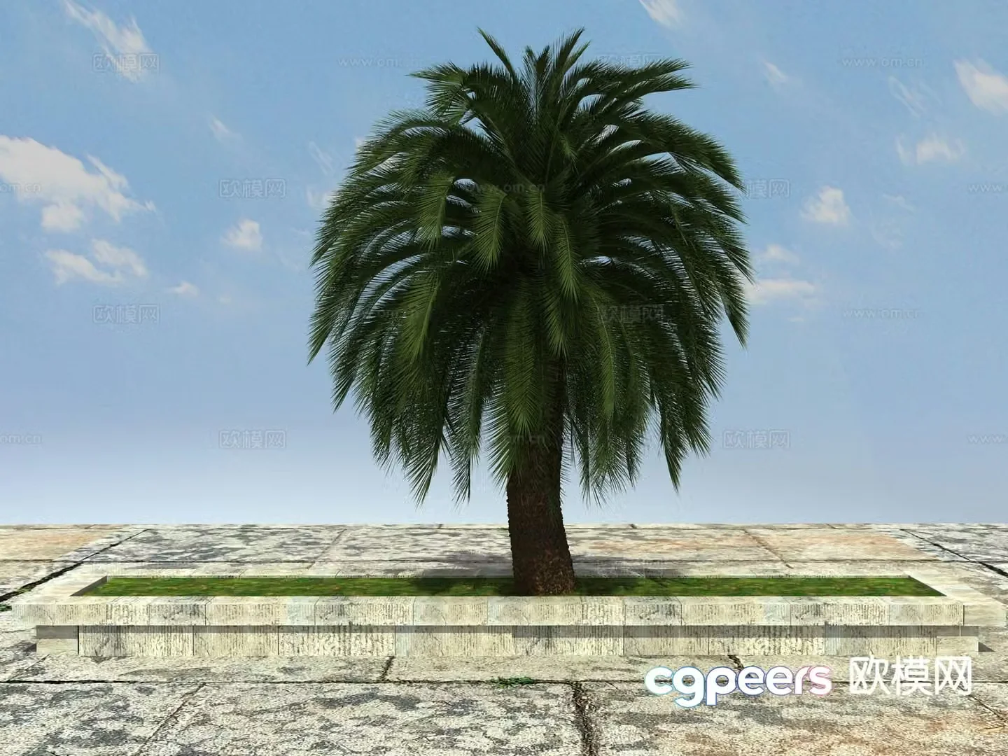Tropical plant Big iron tree 3d model