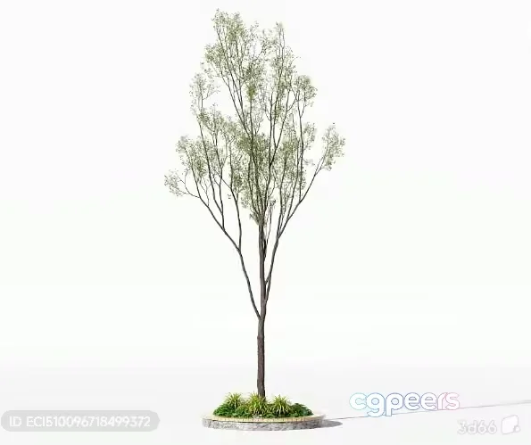 A Tree With Green Leaves 3D Model – 3062 – VRAY Render