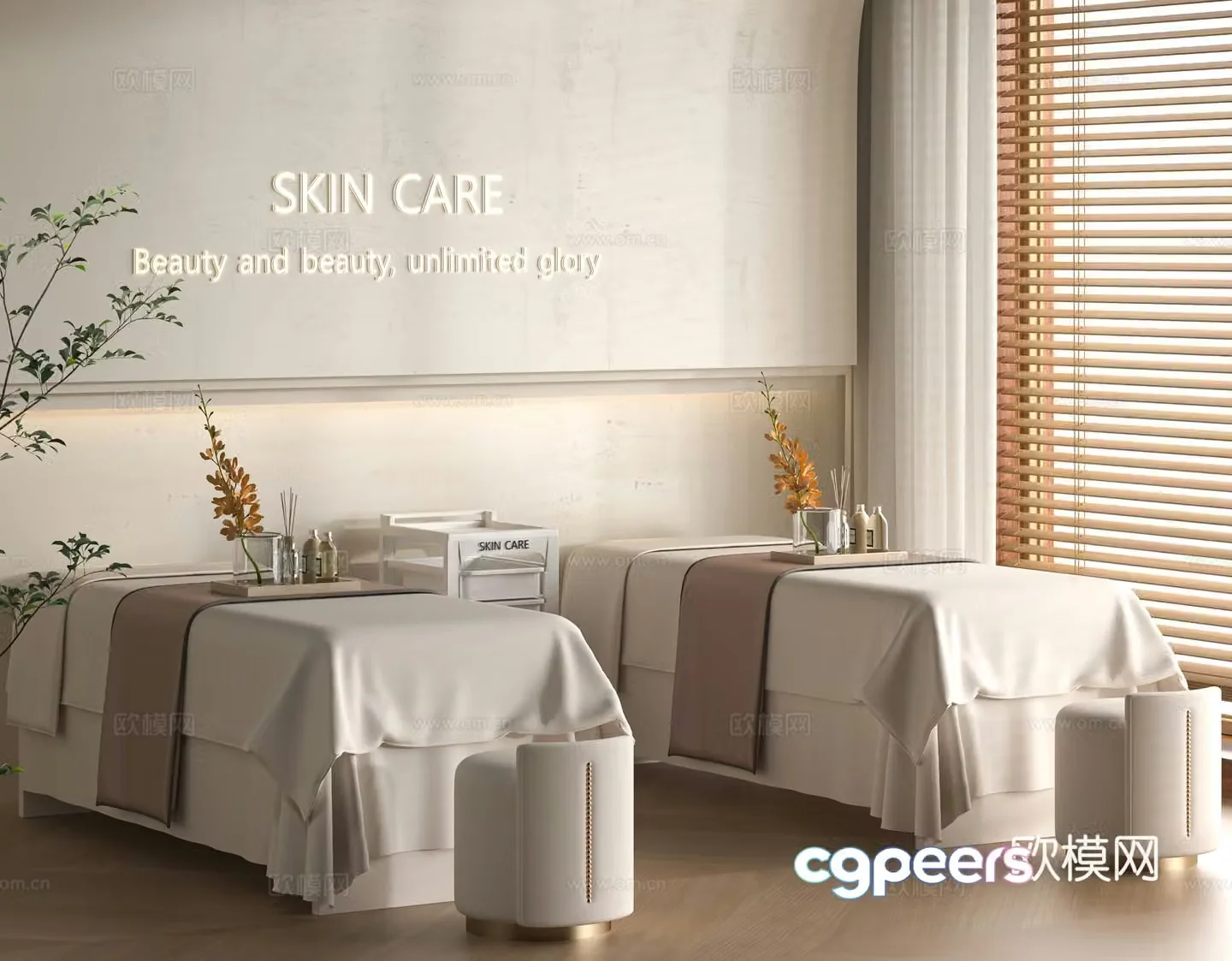 Modern Beauty SPA3d Model