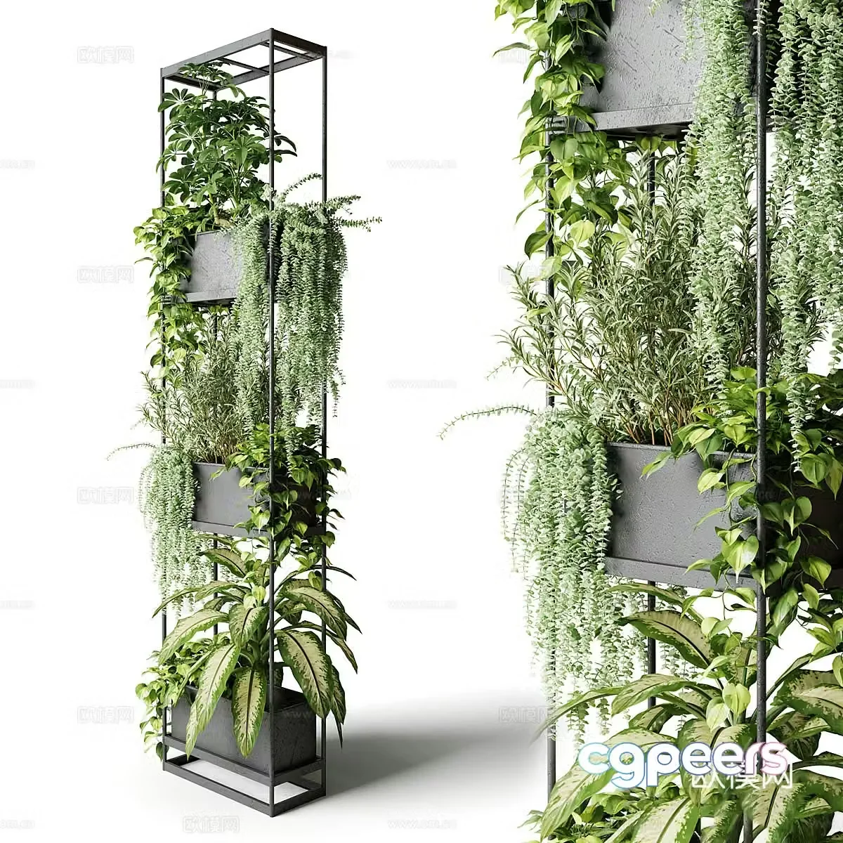 Plant rack 3d model