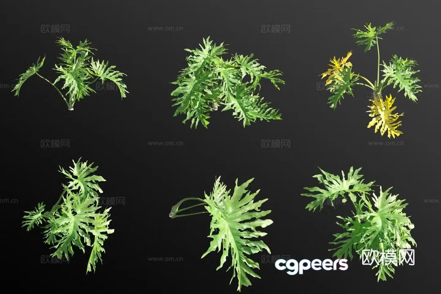 Spring feather flowers and grass 3d model