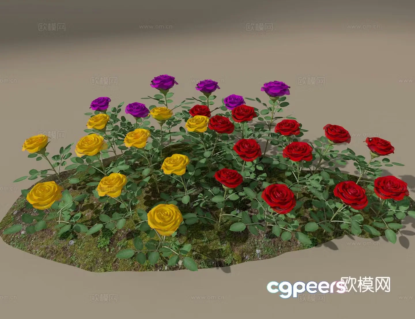 Rose 3d model