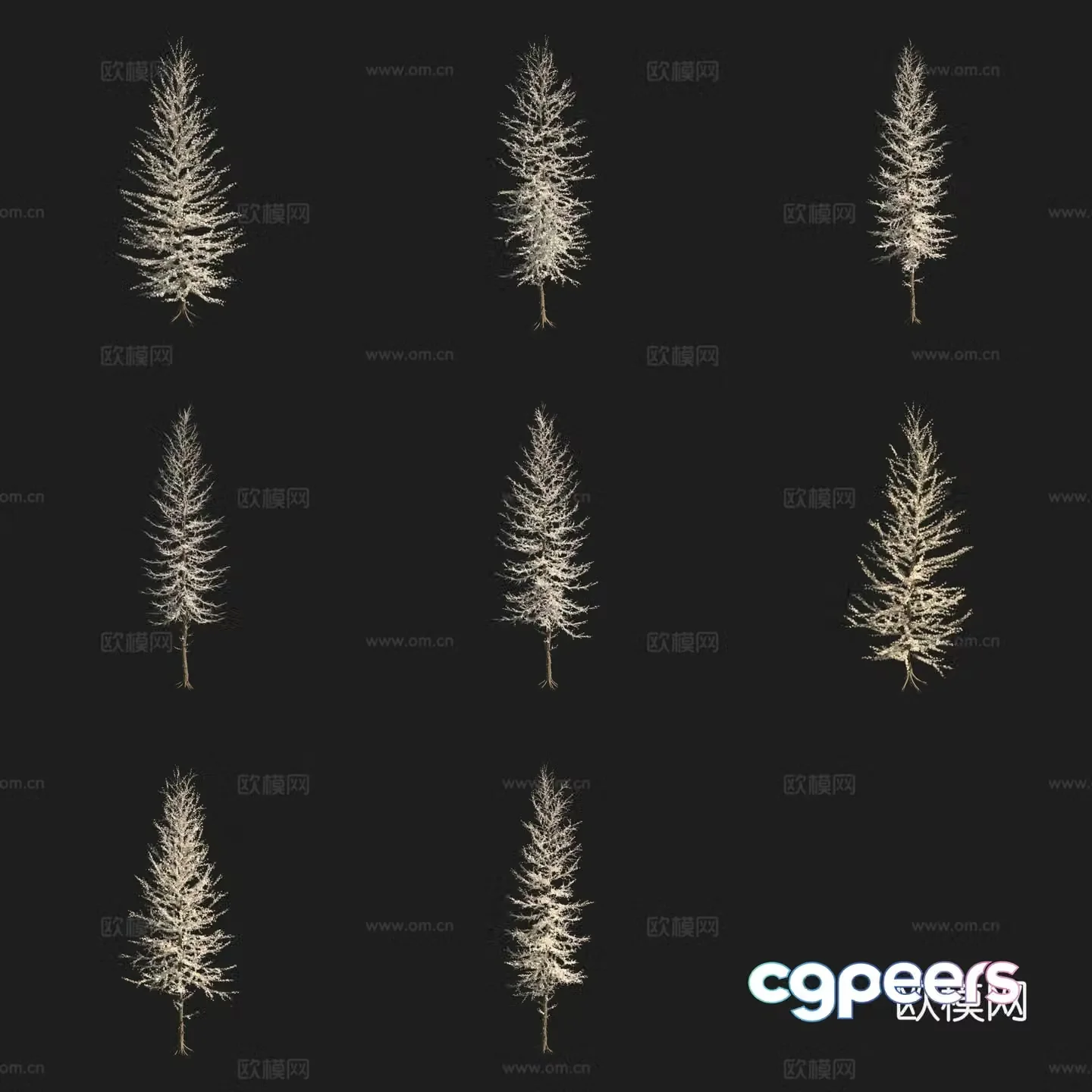 Subalpine larch tree North American tree 3d model