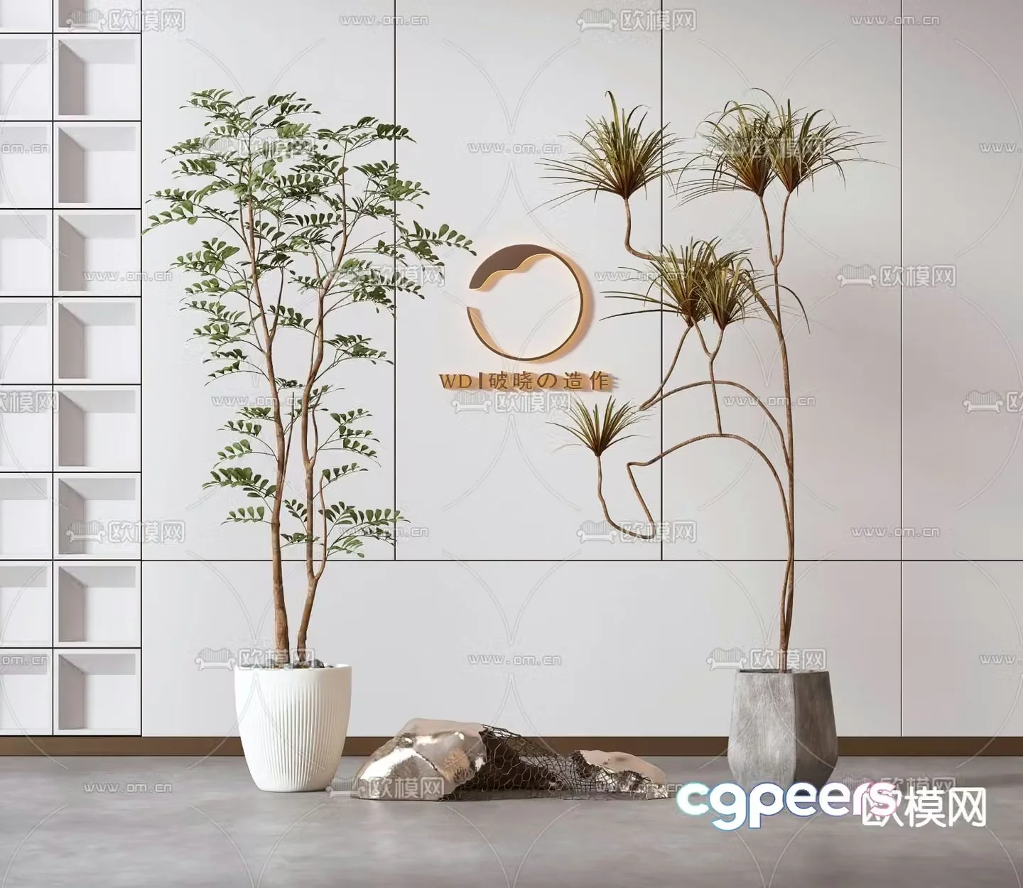 Plant potted millennium wood 3d model