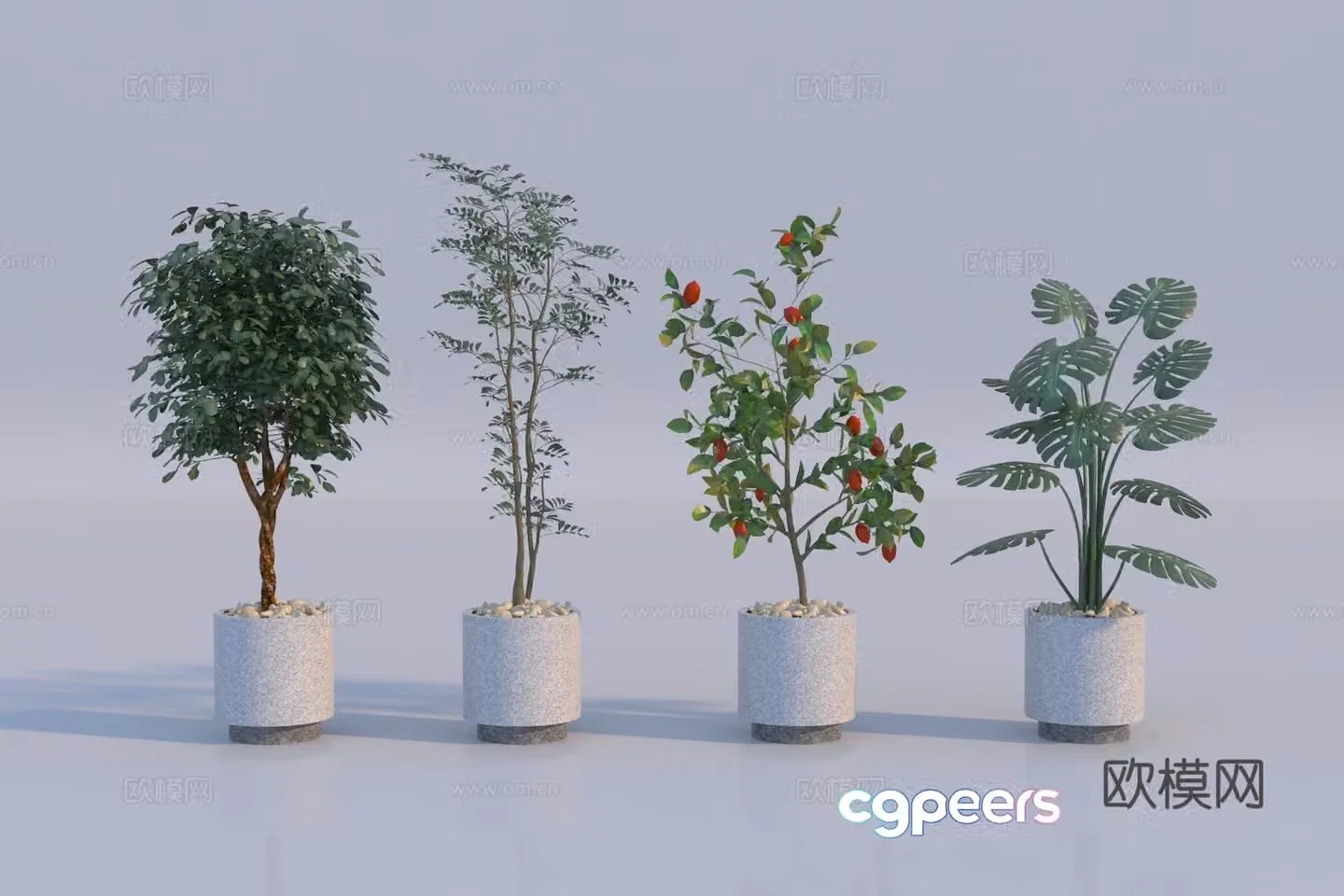 Modern plant potted plant combination 3D model