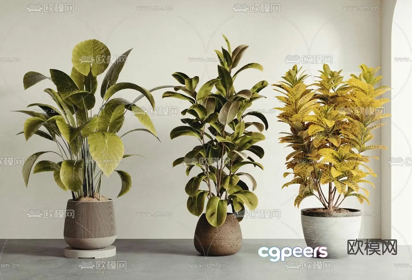 Potted plants Bonsai Green plants 3D model
