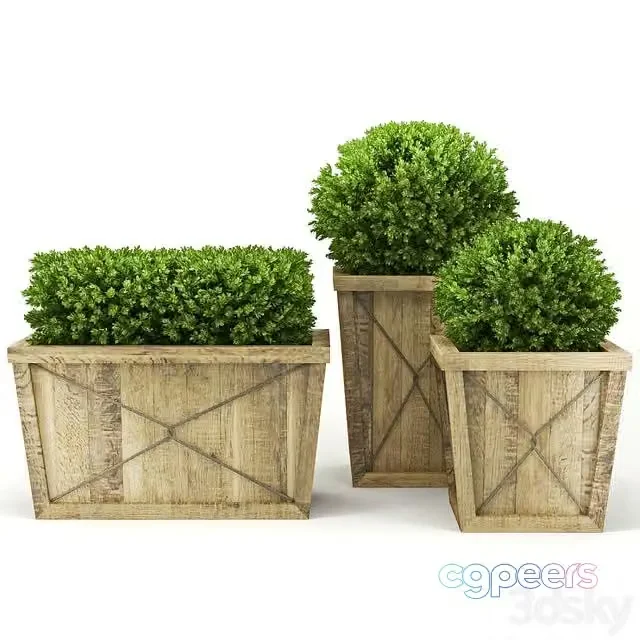 3ds Max Free – Collection_of_Plants_V