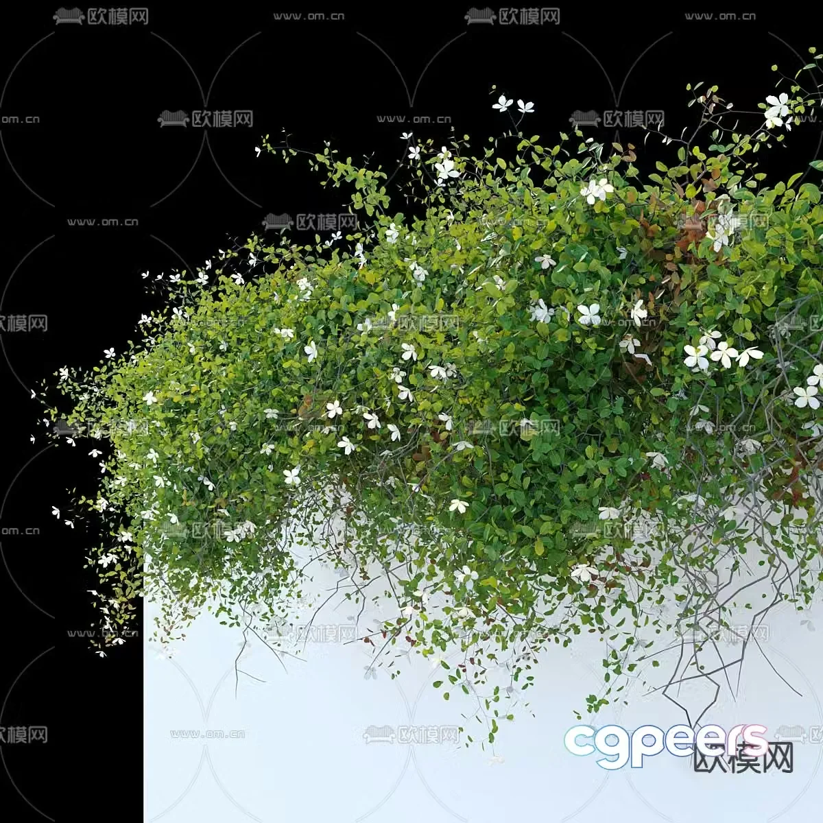 Modern green plant vine crawling wall 3d model