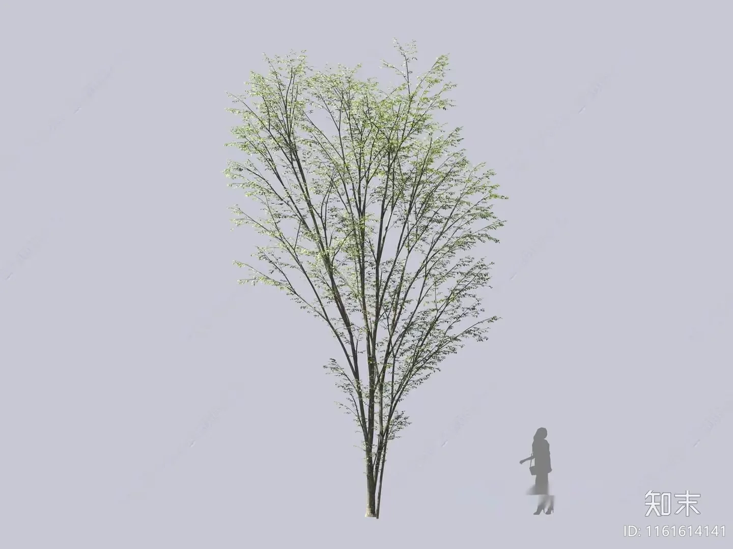 A Tree With A Woman Standing Next To It 3D Model – 16586 – VRAY Render