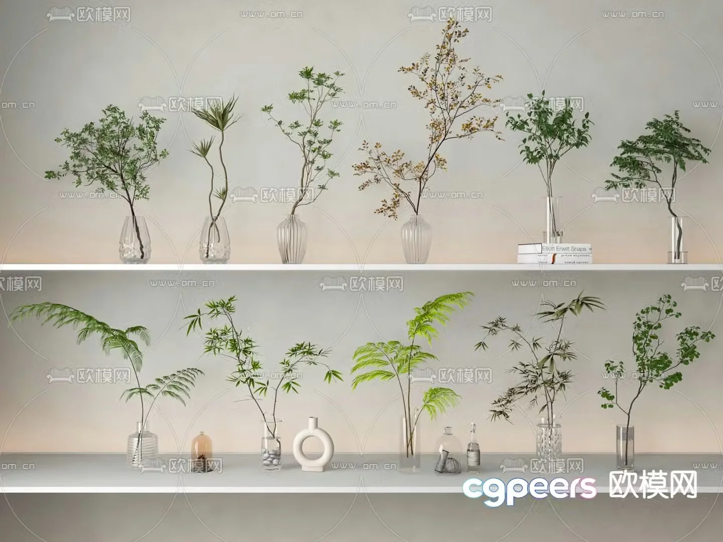 Aquatic plants hydroponic green plants 3d model