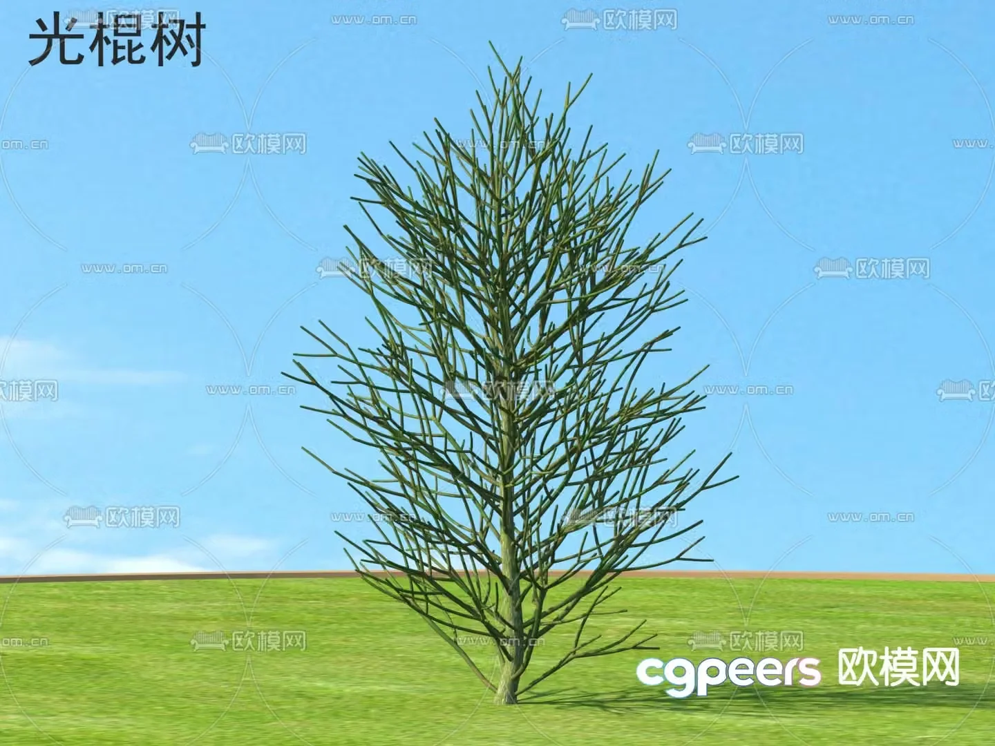 Landscape tree Trees Bachelor tree 3d model