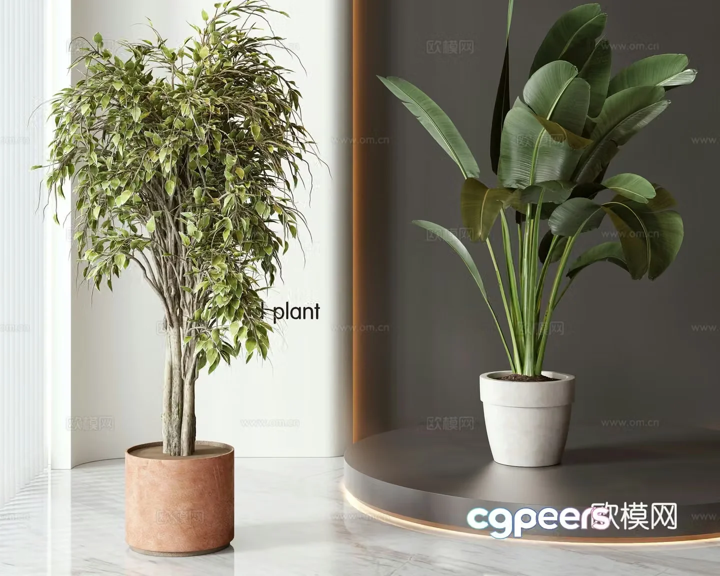 Modern potted bonsai combination 3D model