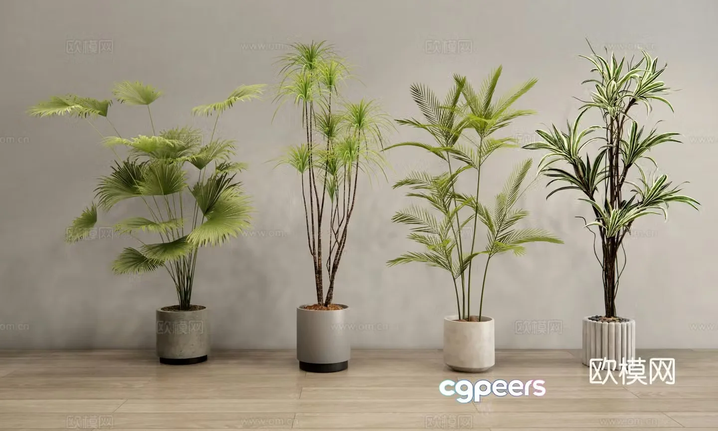 Modern plant potted plants Green plant potted plants Indoor green plants Bonsai 3D model