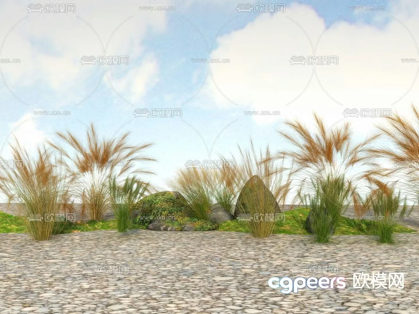 Flowers and plants Wildflowers 3D model