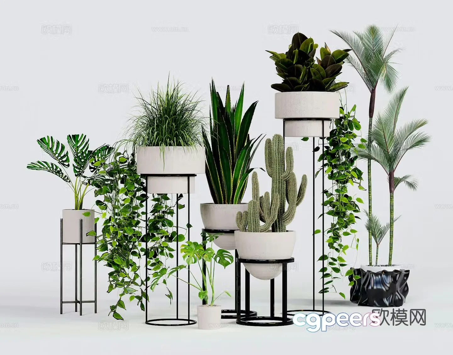 Modern green plant pots potted shelves cactus monstera 3d model
