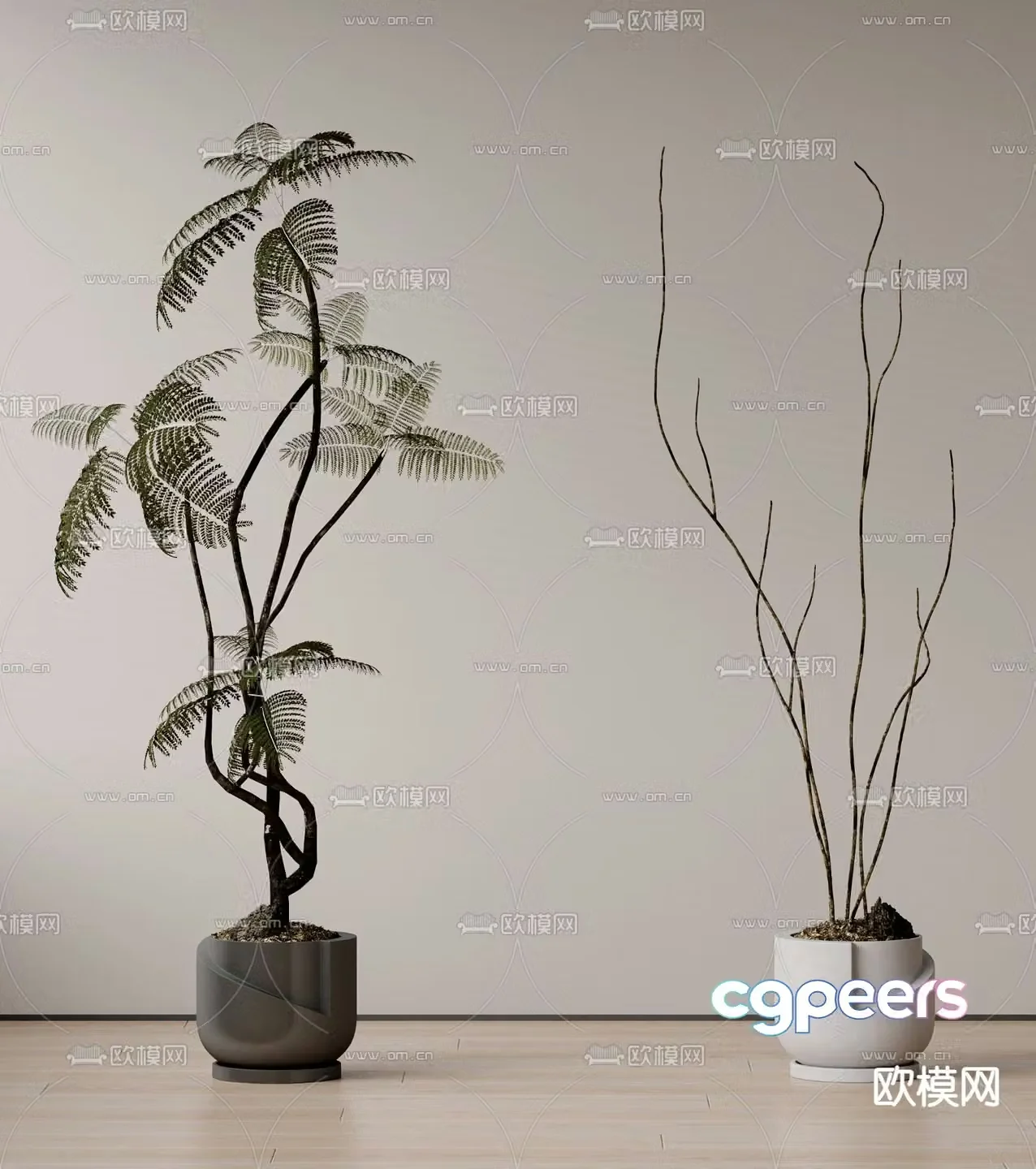Potted plants Bonsai Green plants 3D model