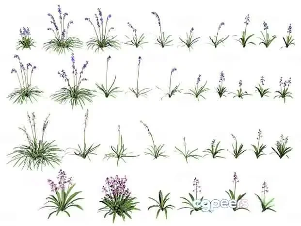 Flowers And Grass 3D Model – 18805 – VRAY Render