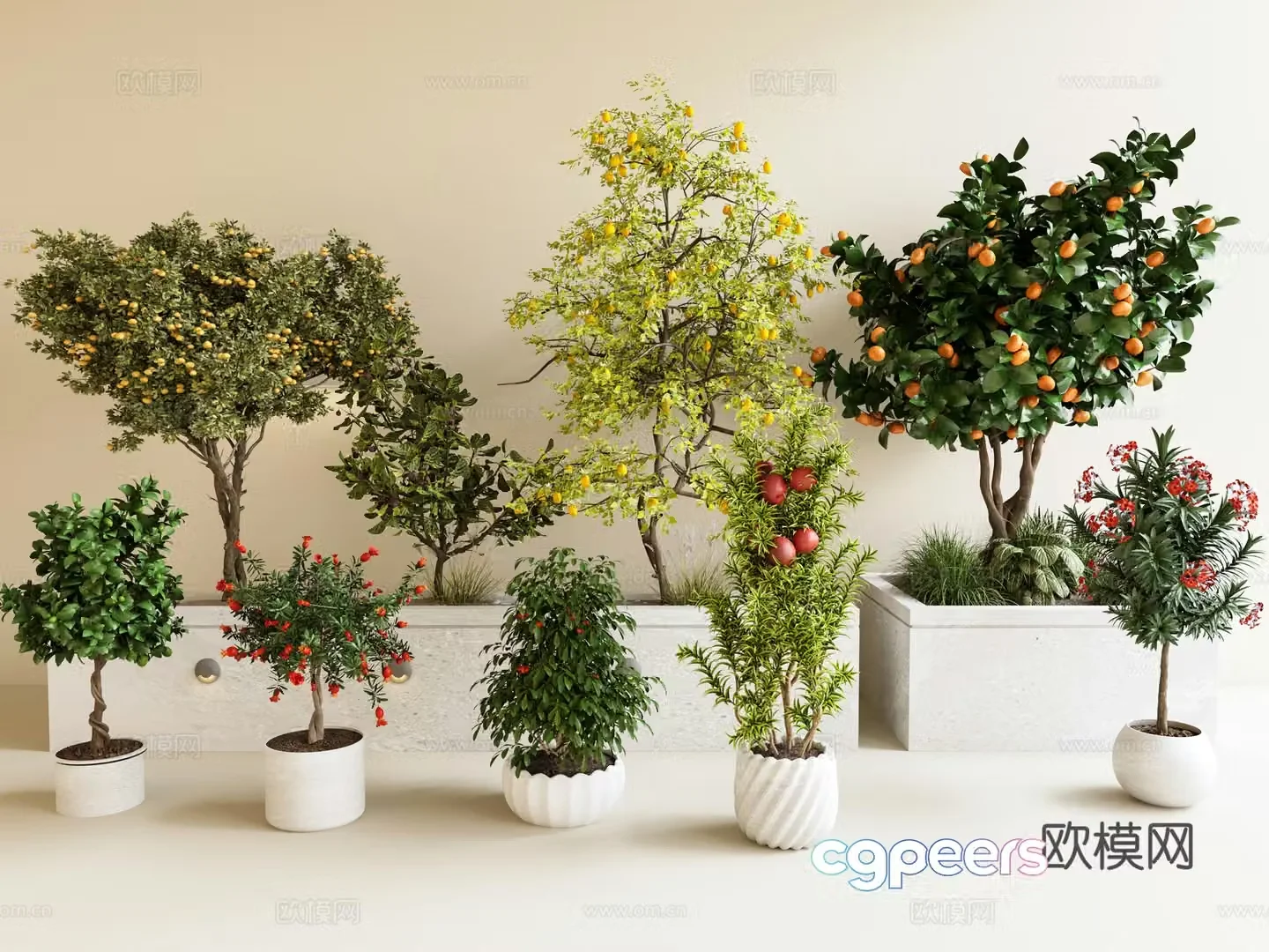Fruit tree pear tree orange tree shrub pomegranate tree apple tree 3d model