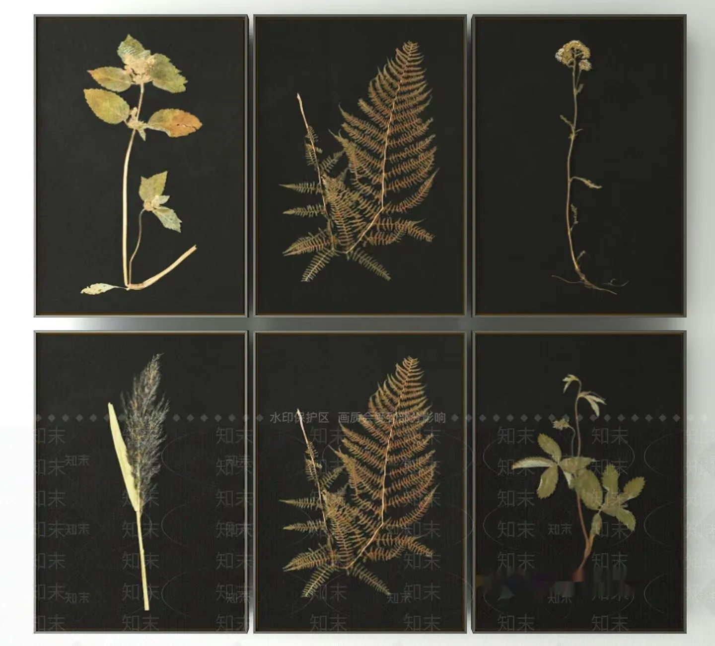 A Collection Of Six Nature-Themed Prints 3D Model – 22871 – VRAY Render
