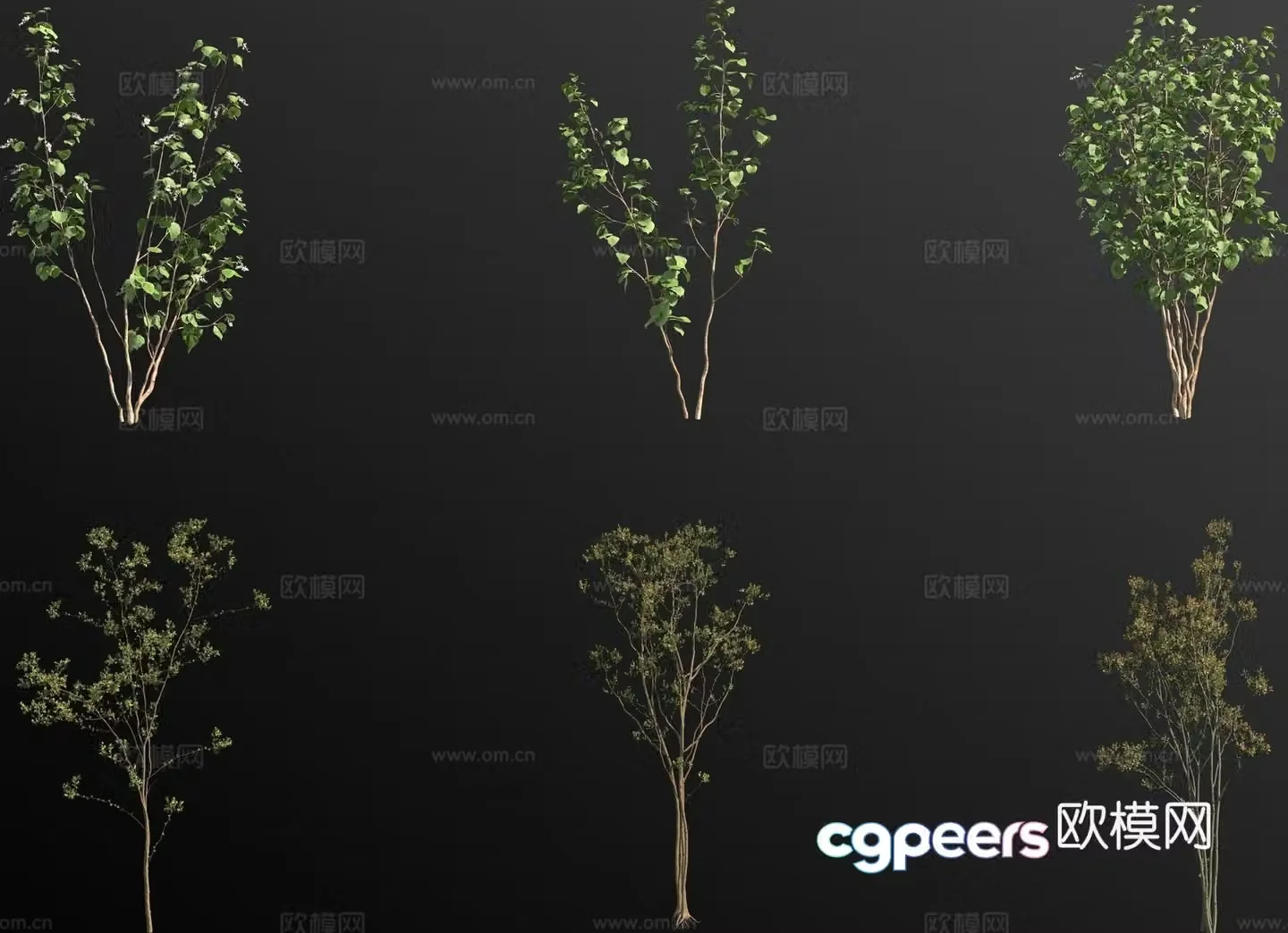 landscape tree arbor trees small tree 3d model