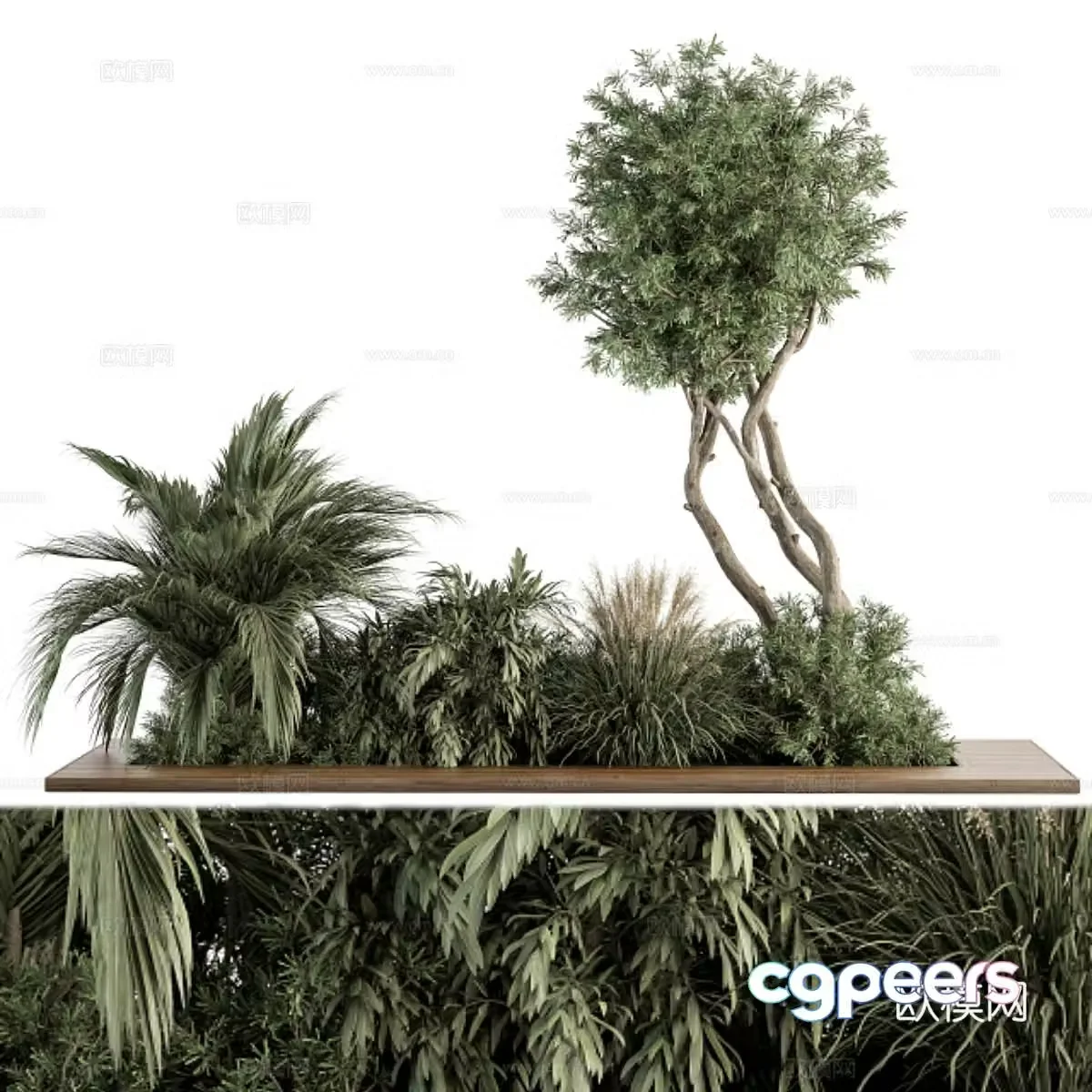 Needle tree palm tree flower box plant pile 3d model