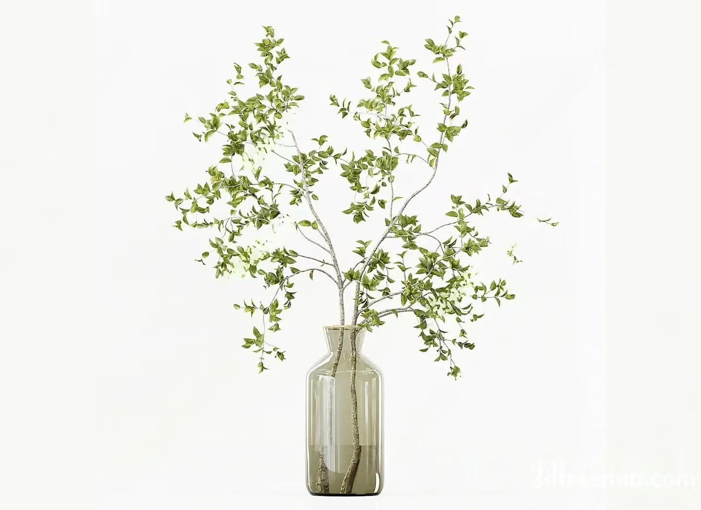 A Clear Glass Vase With A Narrow Neck And A Wide Base Containing A 3D Model – 20925 – VRAY Render