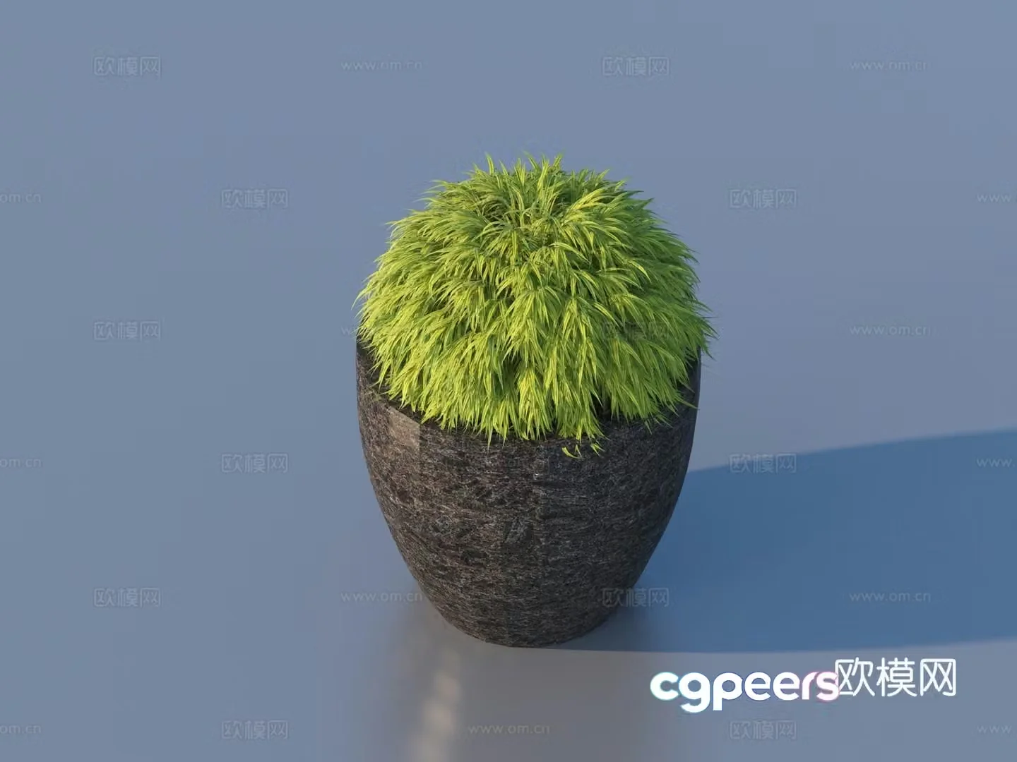 flowerpot potted plant green plant plant 3d model