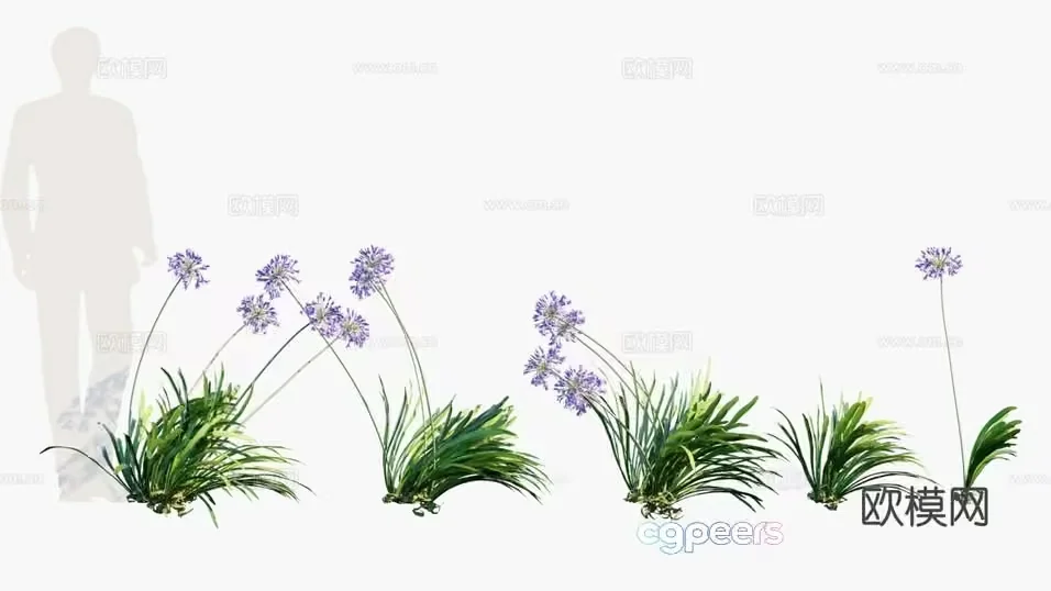 Purple Flowers And Green Grass 3D Model – 3773 – VRAY Render