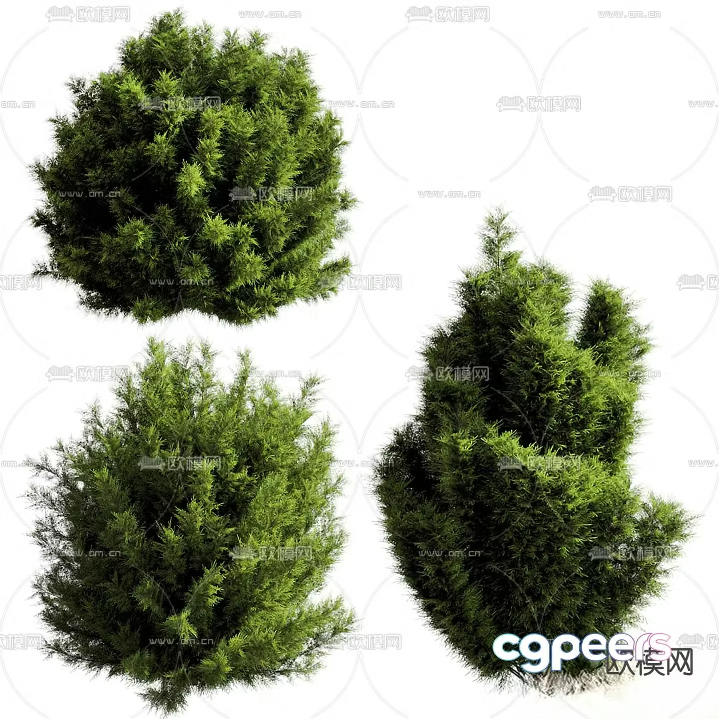 Styling shrubs and hedges 3d model
