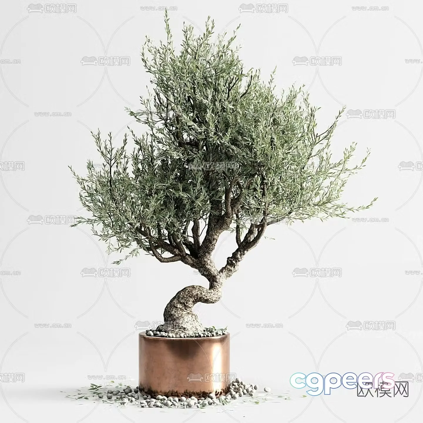FLOS welcoming pine potted plant 3D model