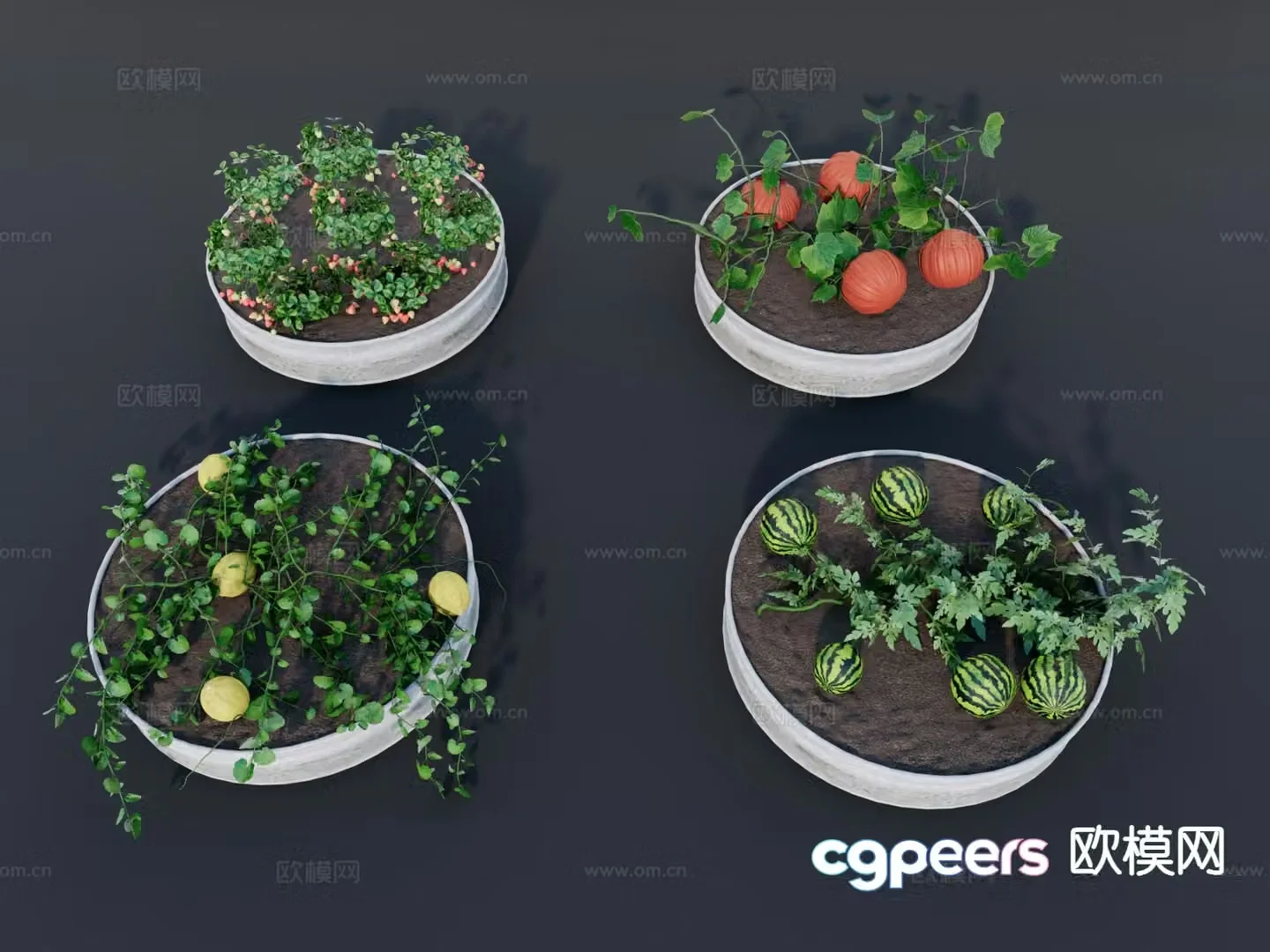 Modern watermelon pumpkin strawberry cantaloupe 3d model