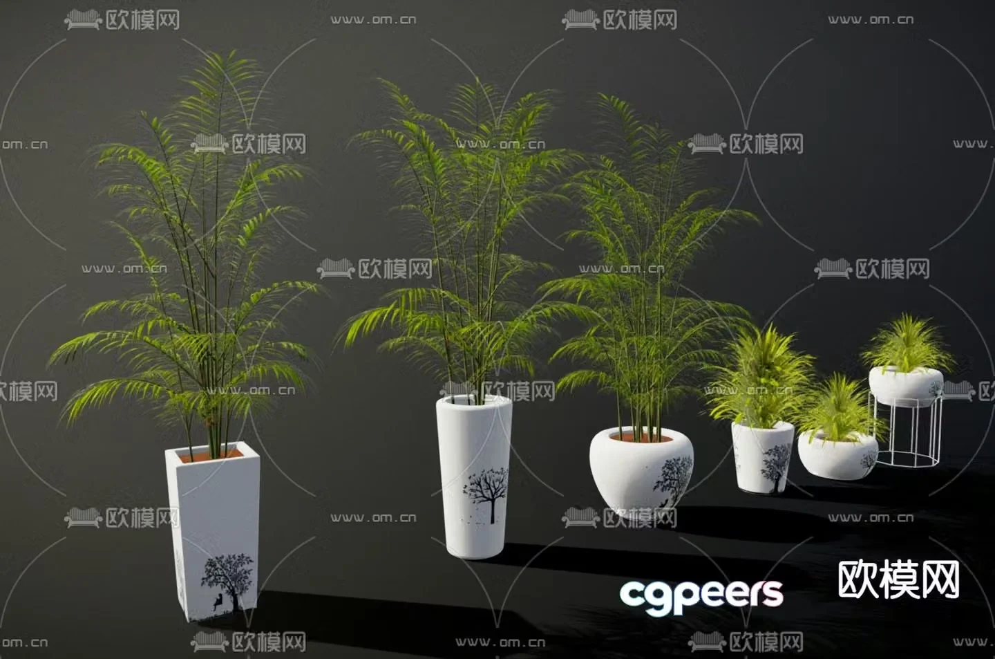 Green plants Potted plants Bonsai 3D model