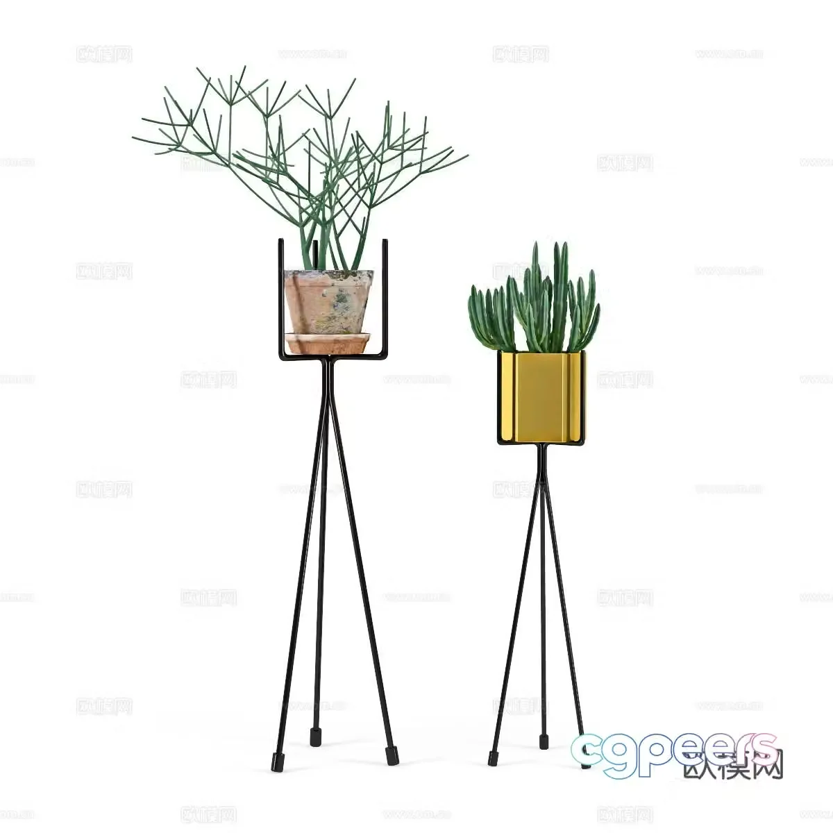 Plant rack 3d model