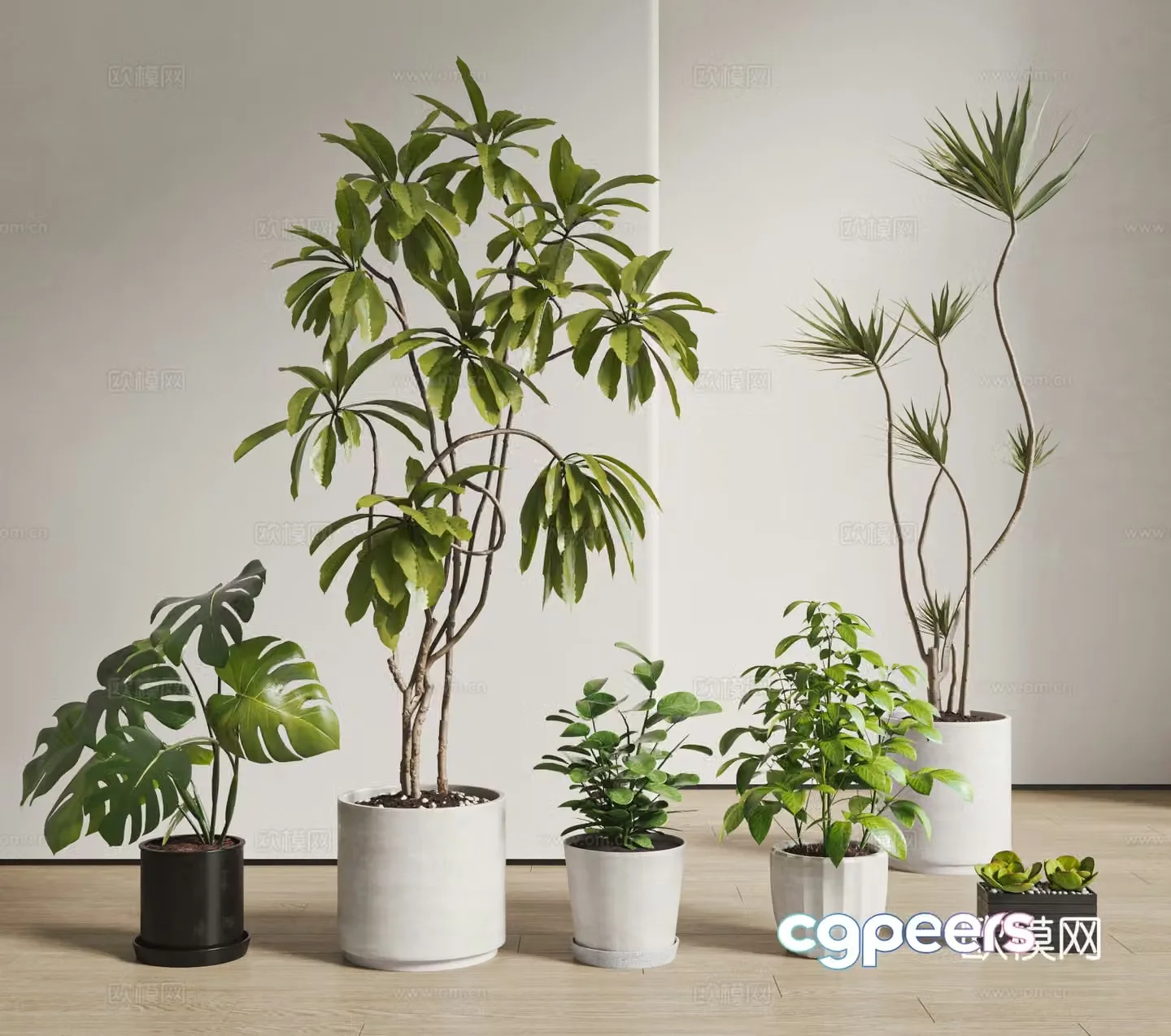 Modern plant potted plant combination green plants floor 3D model