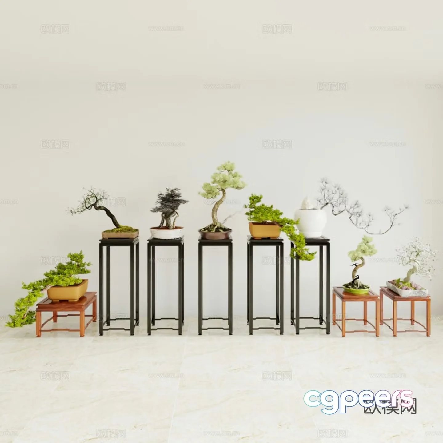 Pine bonsai Welcoming pine bonsai 3d model