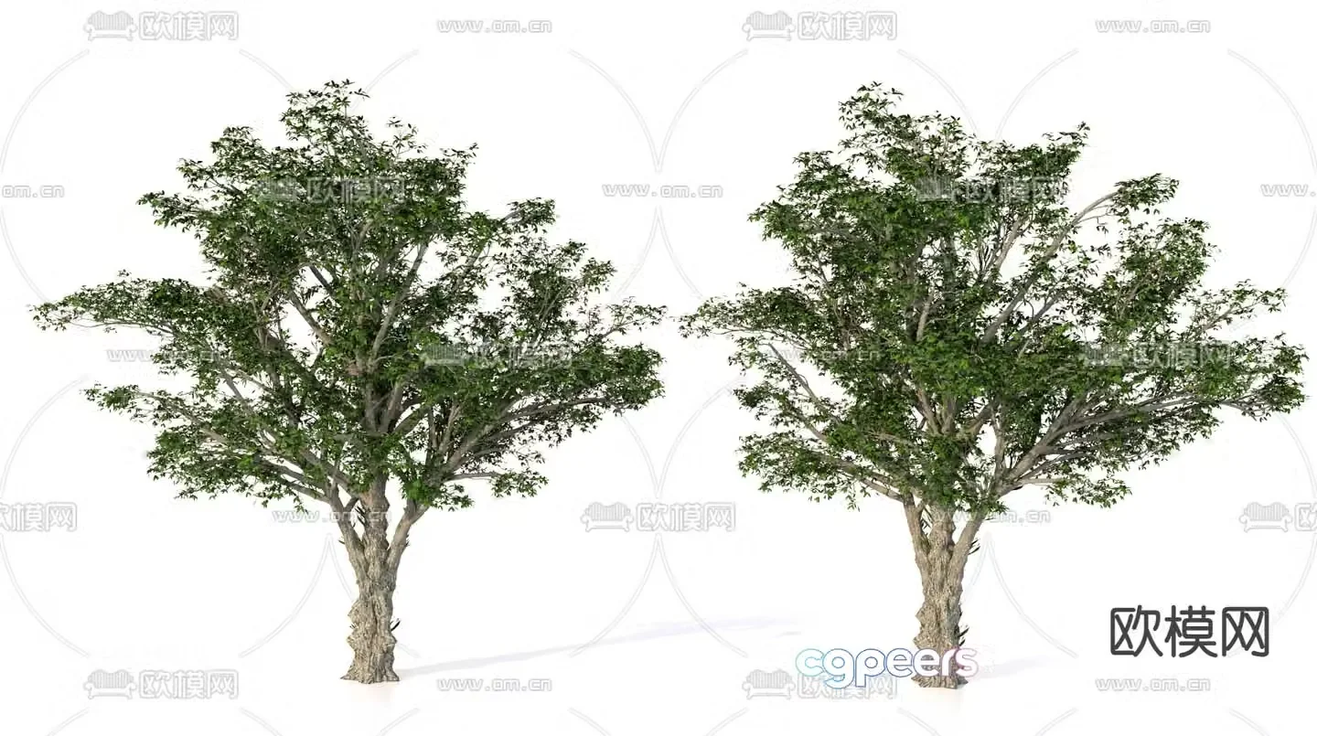 Trees Landscape Trees Street Trees Green Plants 3D Model