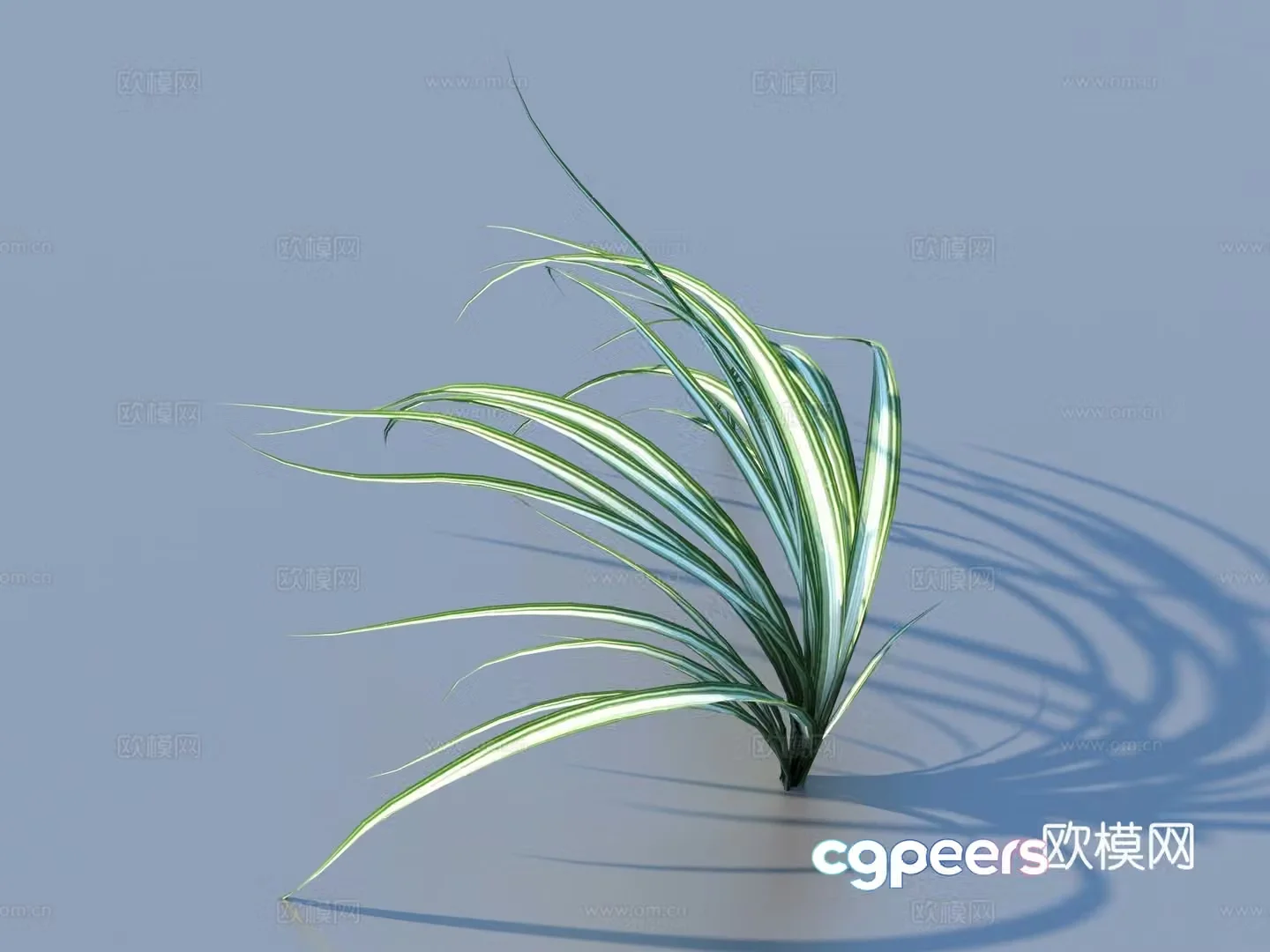 Vegetables Vegetables Leaves Food 3D Model