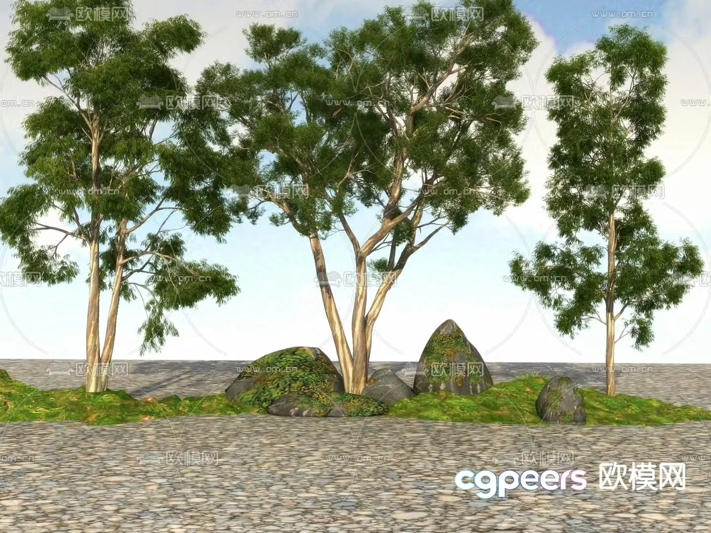 Big tree Landscape tree Street tree 3d model