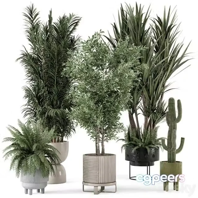 3ds Max Free – Indoor Plants in Ferm Living Bau Pot Large – Set 362