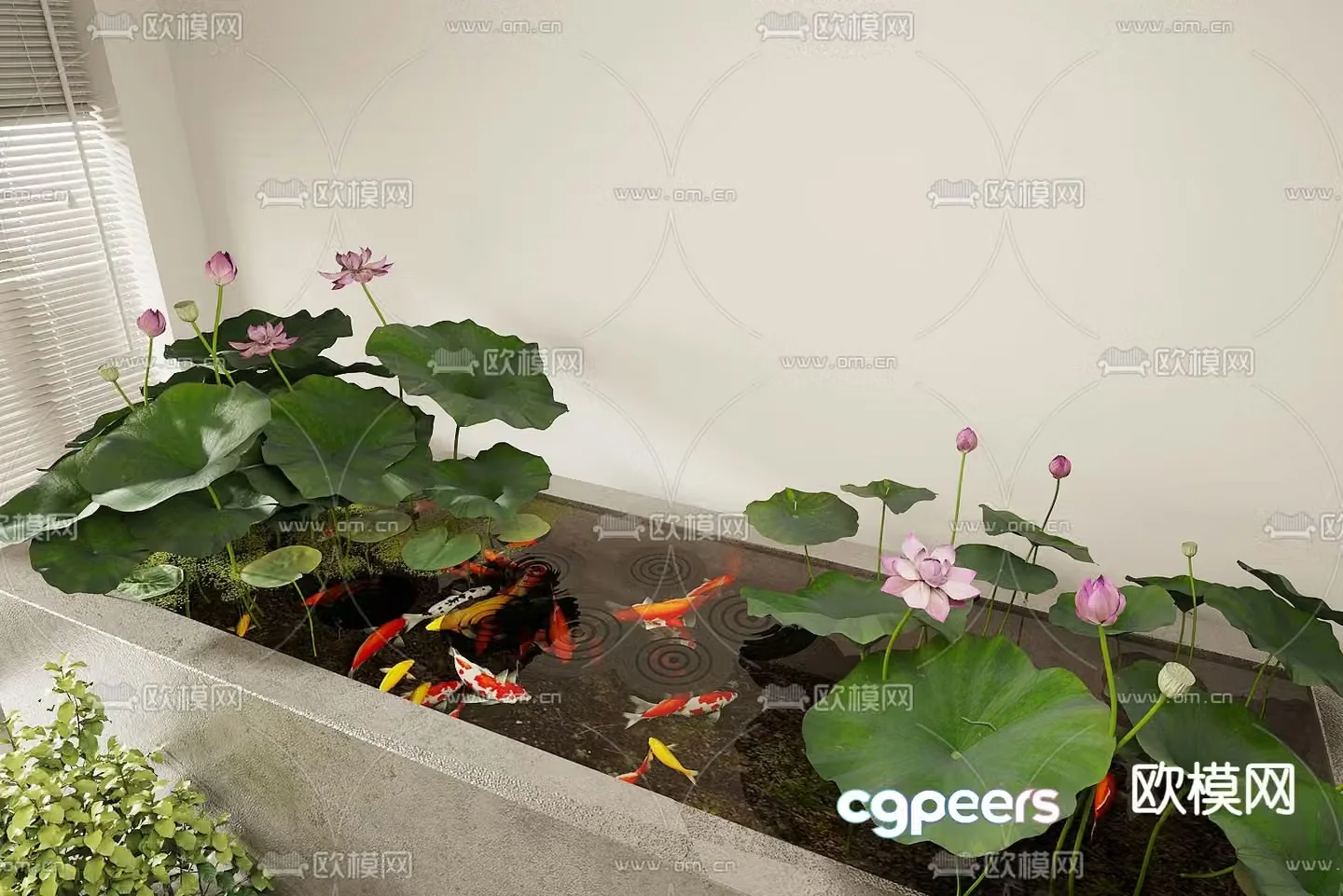Waterscape sketch lotus pond koi pond 3D model