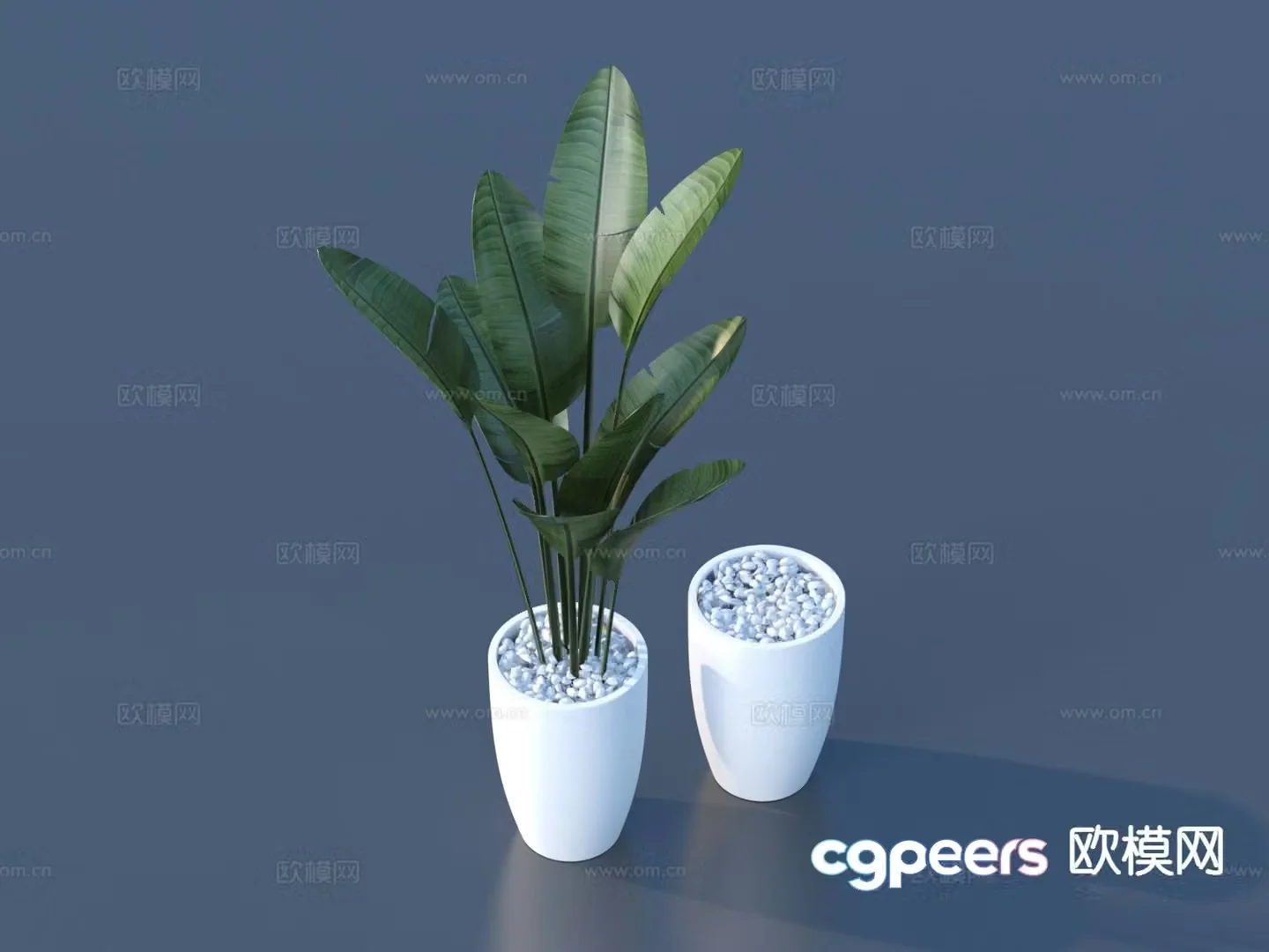 Flower pot pot green plant 3d model