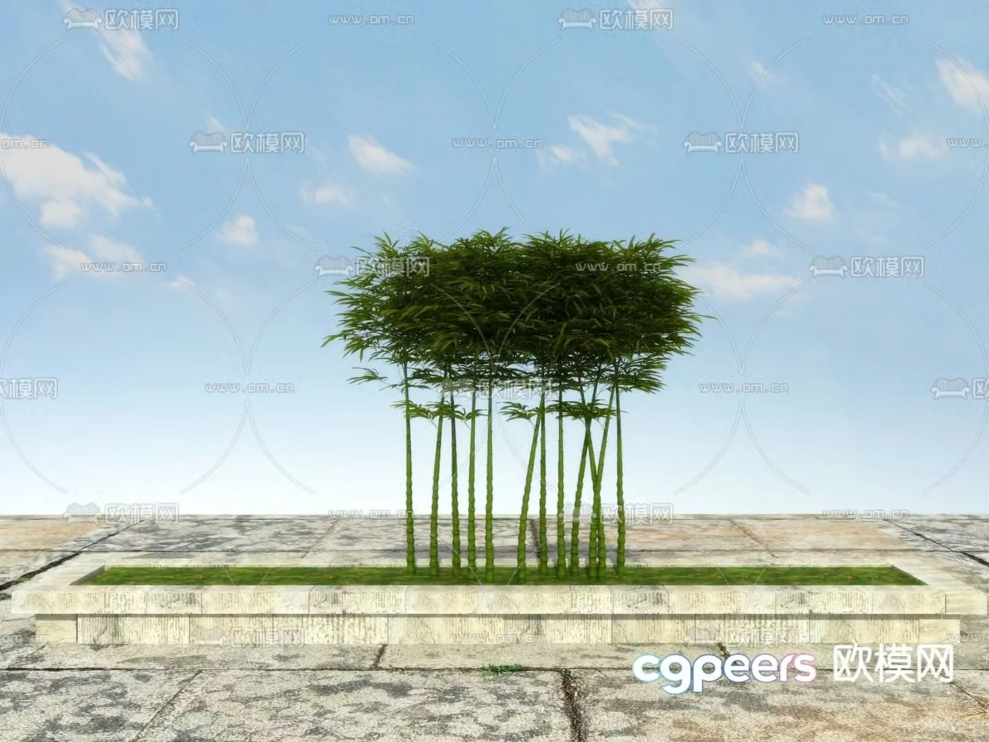 Arhat bamboo Buddha belly bamboo 3D model