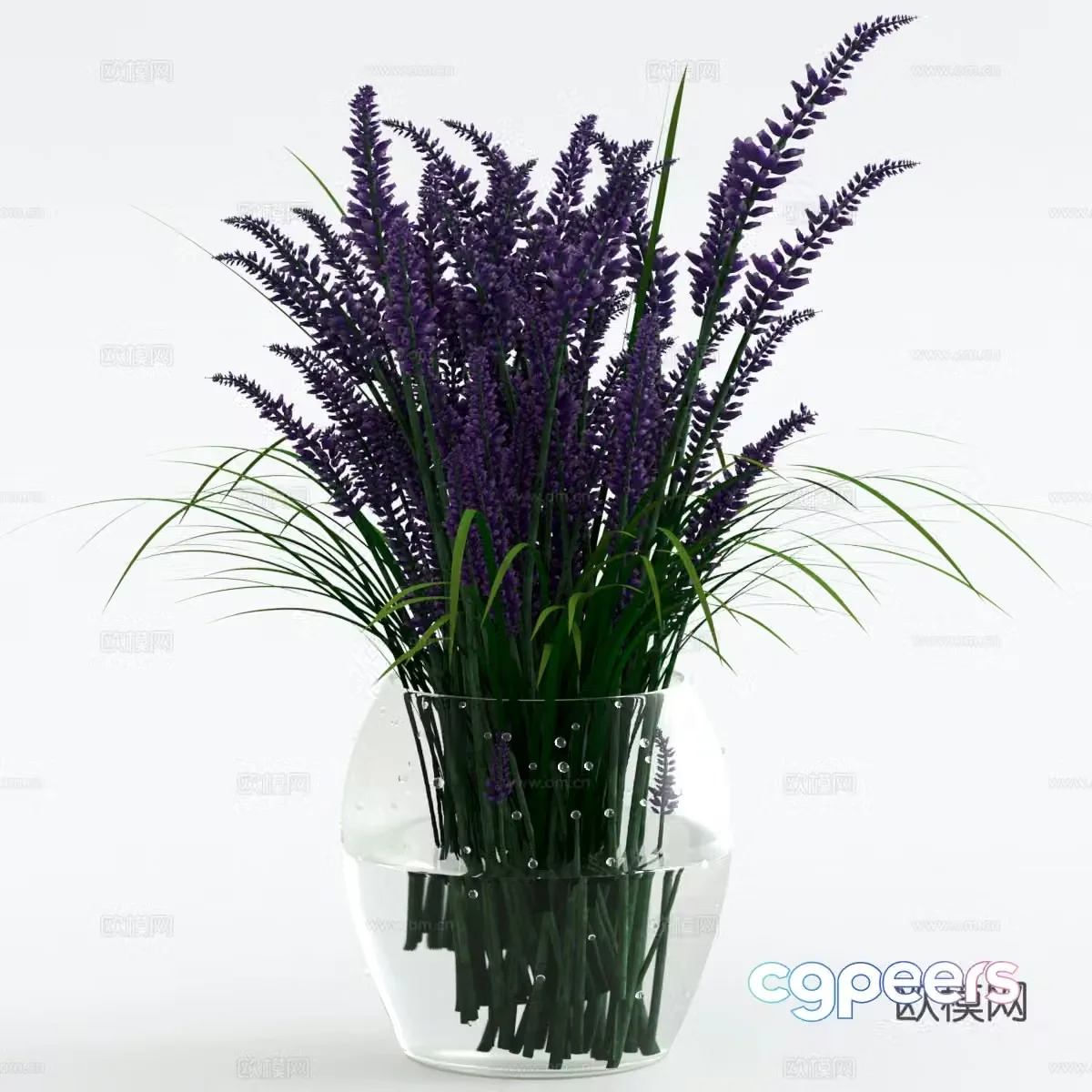 Plants vase flowers flower 3d model