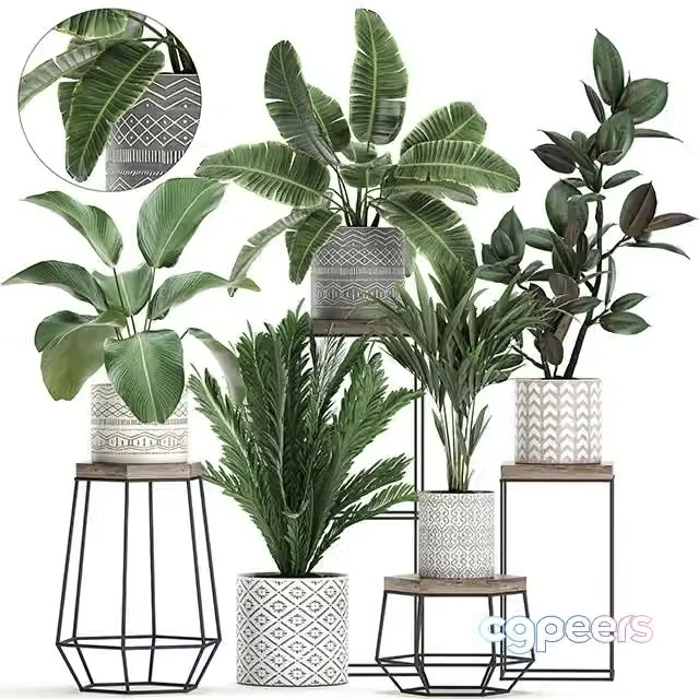 3ds Max Free – A collection of small plants on a flower stand in pots Set 702